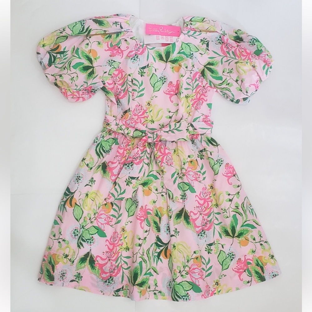 Lilly Pulitzer Pink and Green Floral Dress